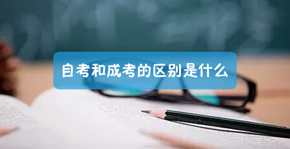 2020年延吉高考最高分